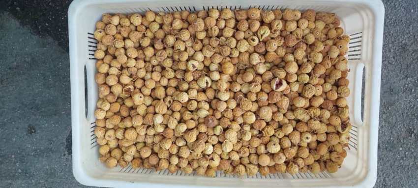 تصویر 5 از فروش ویژه انجیر استهبان عمده دو آ + قیمت خرید