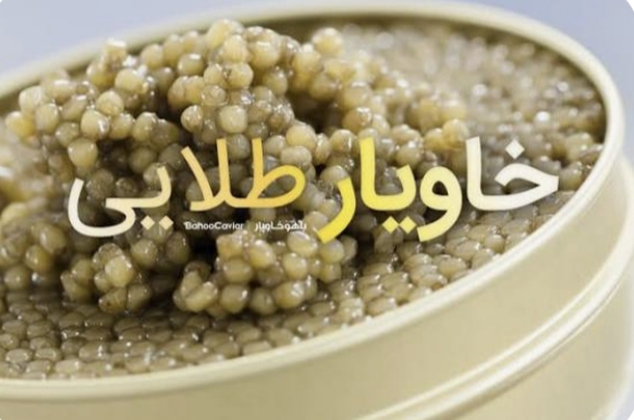 تصویر 2 از خواص خاویار بلوگا