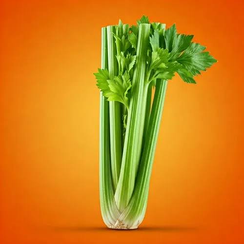 تصویر 2 از کرفس ارگانیک باکیفیت مناسب در سرد خانه‌ های صنعتی کشور