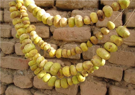 تصویر 3 از انجیر خشک طنابی با کیفیت عالی