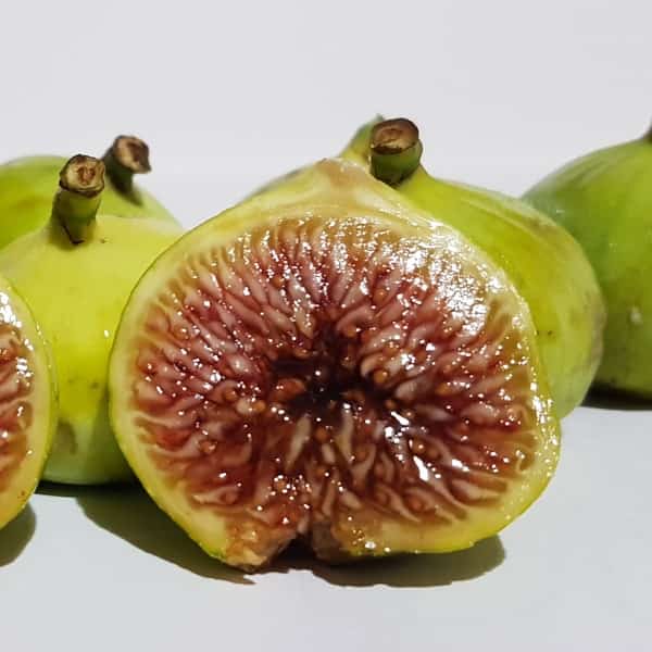 تصویر 1 از انجیر خشک جلفا با کیفیت برتر