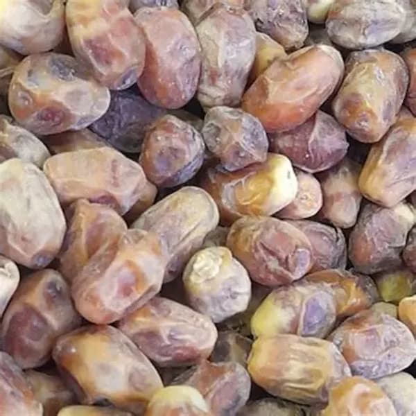 تصویر 2 از ضایعات خرمای زاهدی برای مصارف دامی