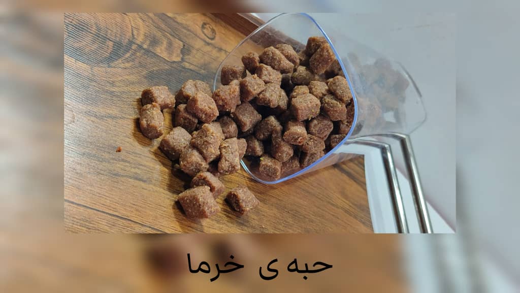 فروش عمده و جزئی حبه خرما زنجبیل برندکرشمه