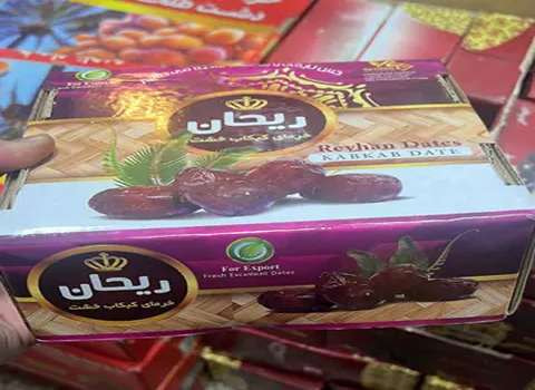 تصویر 1 از خرما کبکاب خشت ریحان از بهترین باغات