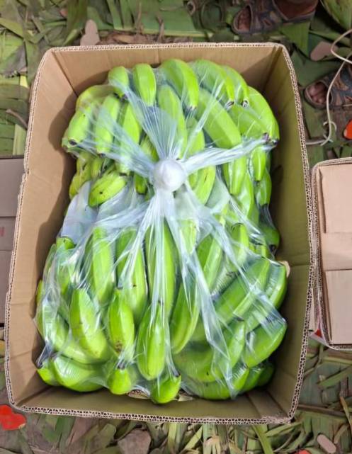 خرید میوه موز