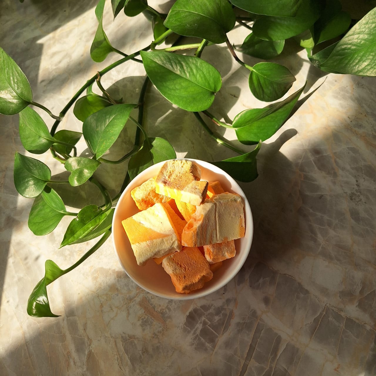 تصویر 2 از سایت سفارش بستنی خشک مخلوط در شیراز