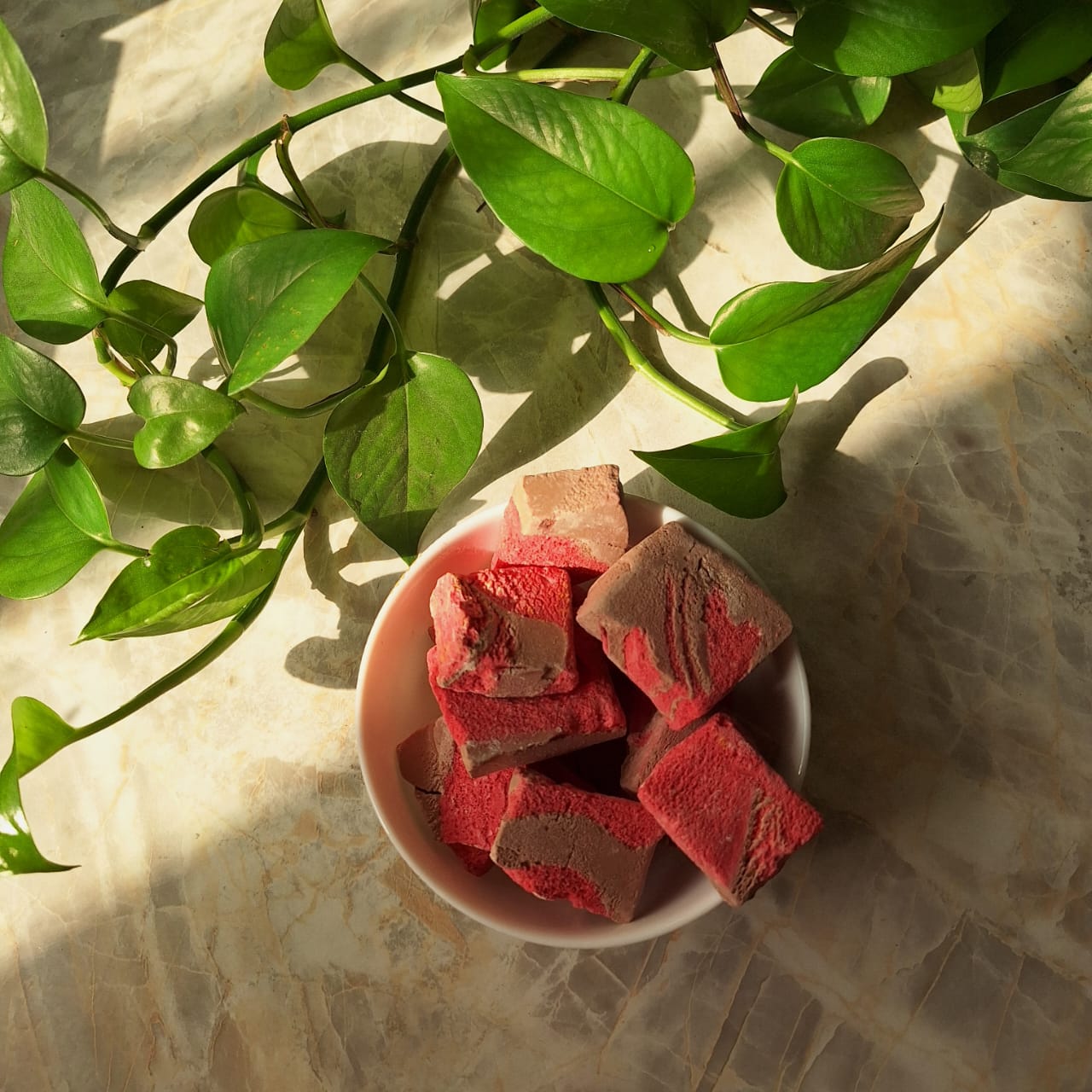 تصویر 3 از سایت سفارش بستنی خشک مخلوط در شیراز