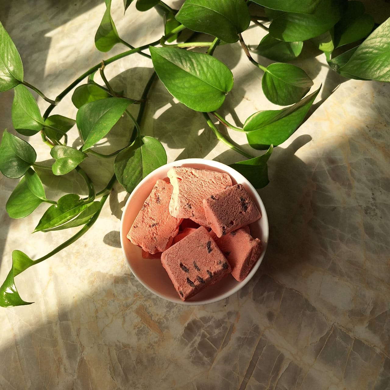 تصویر 1 از سایت سفارش بستنی خشک مخلوط در شیراز