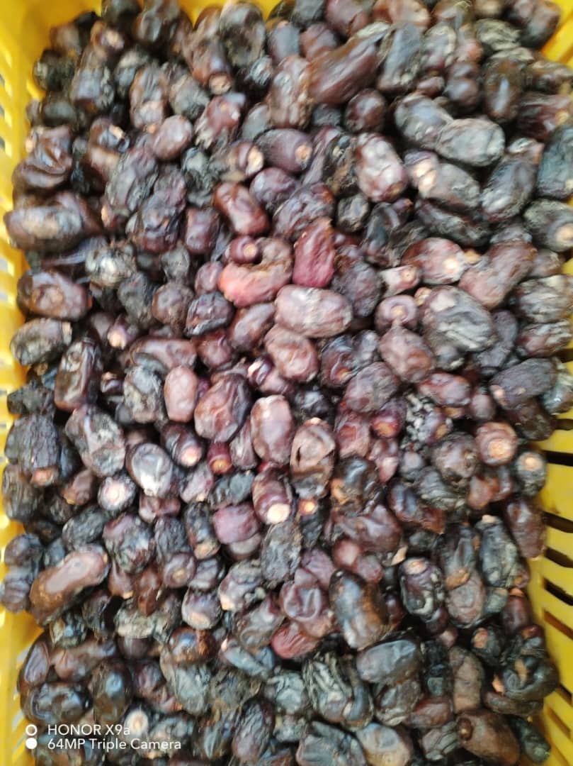 تصویر 1 از فروش خرما ضایعاتی جنوب کرمان شهرستان جیرفت