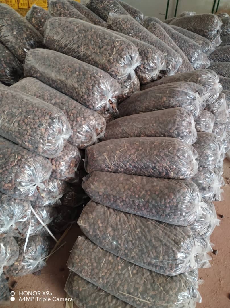 تصویر 1 از فروش خرما ضایعاتی جنوب کرمان شهرستان عنبرآباد