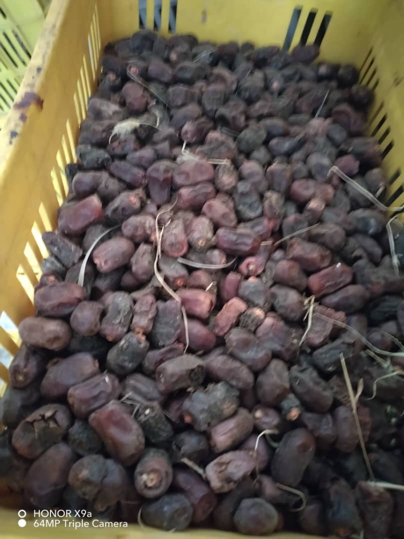 تصویر 1 از فروش خرما ضایعاتی جنوب کرمان