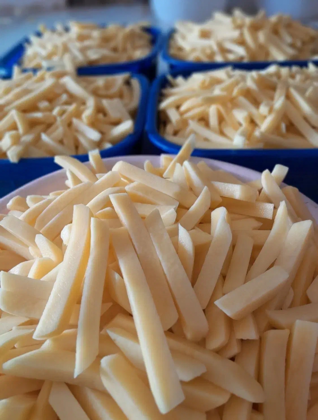 تصویر 1 از قیمت خرید فرنچ فرایز اردبیل با اسلایس های متنوع + قیمت بصرفه