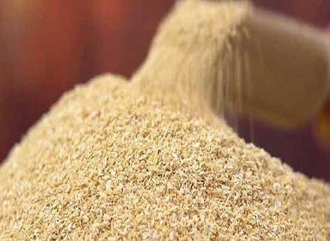 پخش عمده سبوس گندم درجه‌ یک + قیمت واقعی و منصفانه