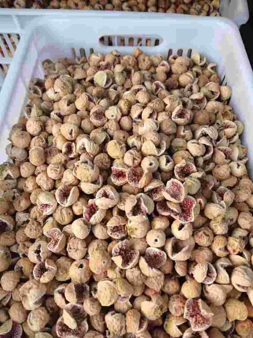 تصویر 5 از فروش ویژه انجیر پرک خشک + قیمت خرید