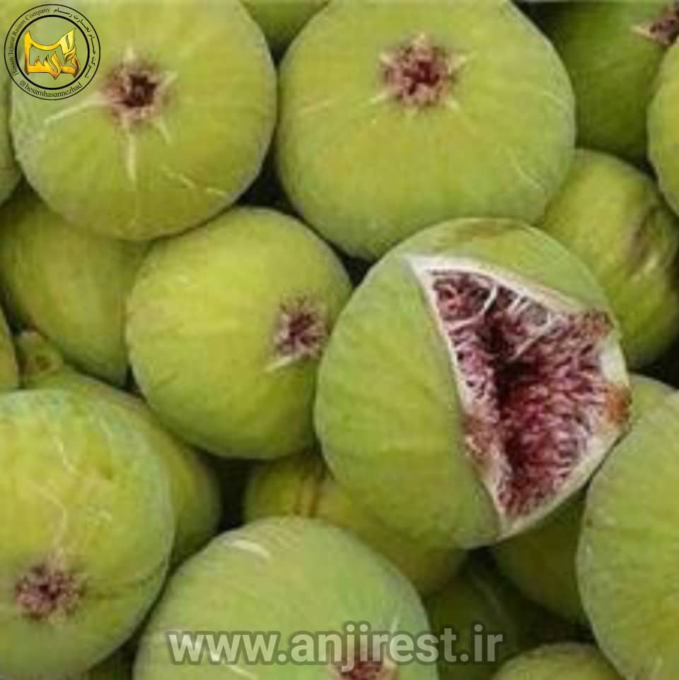 تصویر 3 از فروش ویژه انجیر سفید طارم + قیمت خرید