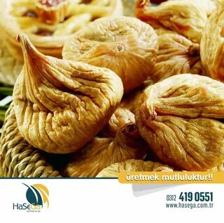 تصویر 2 از فروش ویژه انجیر خشک ارگانیک + قیمت خرید