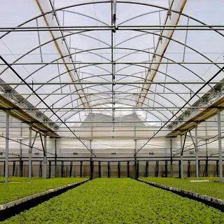 تصویر 4 از خرید عمده نایلون عرض 10 با 10 درصد یووی از کارخانه