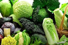 کلم یونانی تازه‌ برگ مناسب پخت‌ های آرام‌ پز