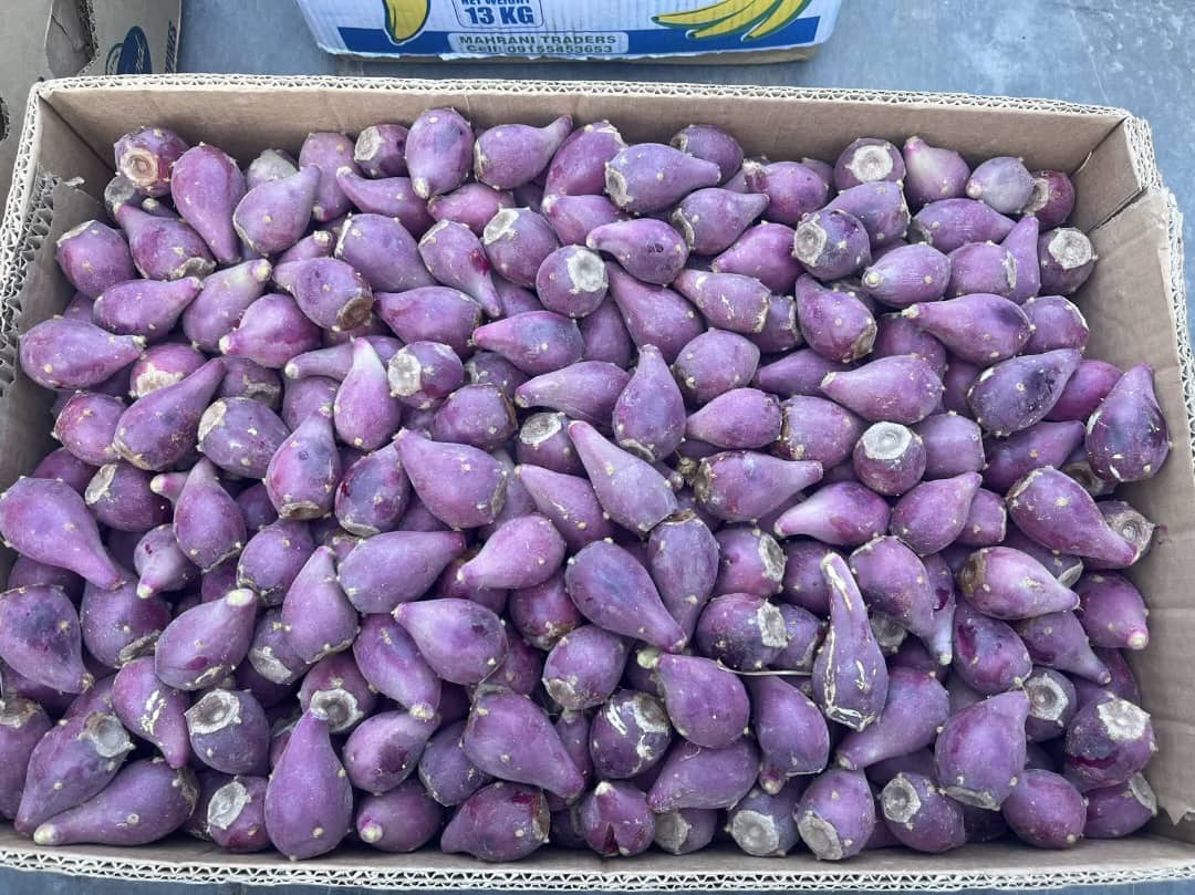 تصویر 1 از خرید میوه کاکتوس عمده ارزان+فروش مستقیم بدون واسطه