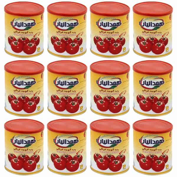 رب گوجه فرنگی همدانیان 800 گرم بسته 12 عددی