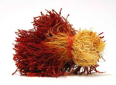 تصویر 2 از زعفران دسته‌ پیچ تازه برداشت شده و خالص