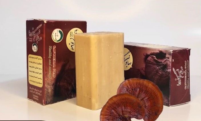 تصویر 3 از انواع صابون قارچ گانودرما ۱۰۰ گرم کاملا طبیعی