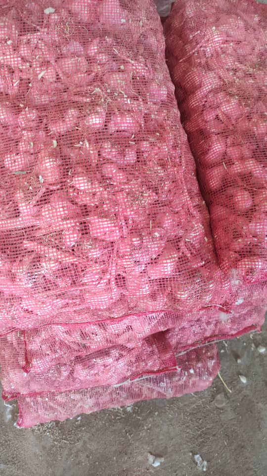 خرید سیر سفید