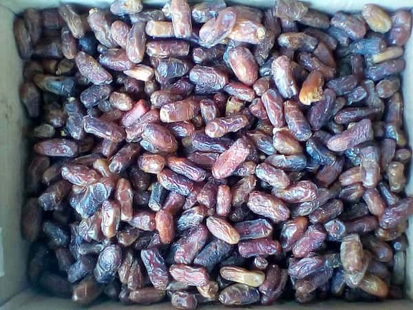 تصویر 4 از خرما مضافتی خوزستان ویژه تامین کنندگان مواد غذایی