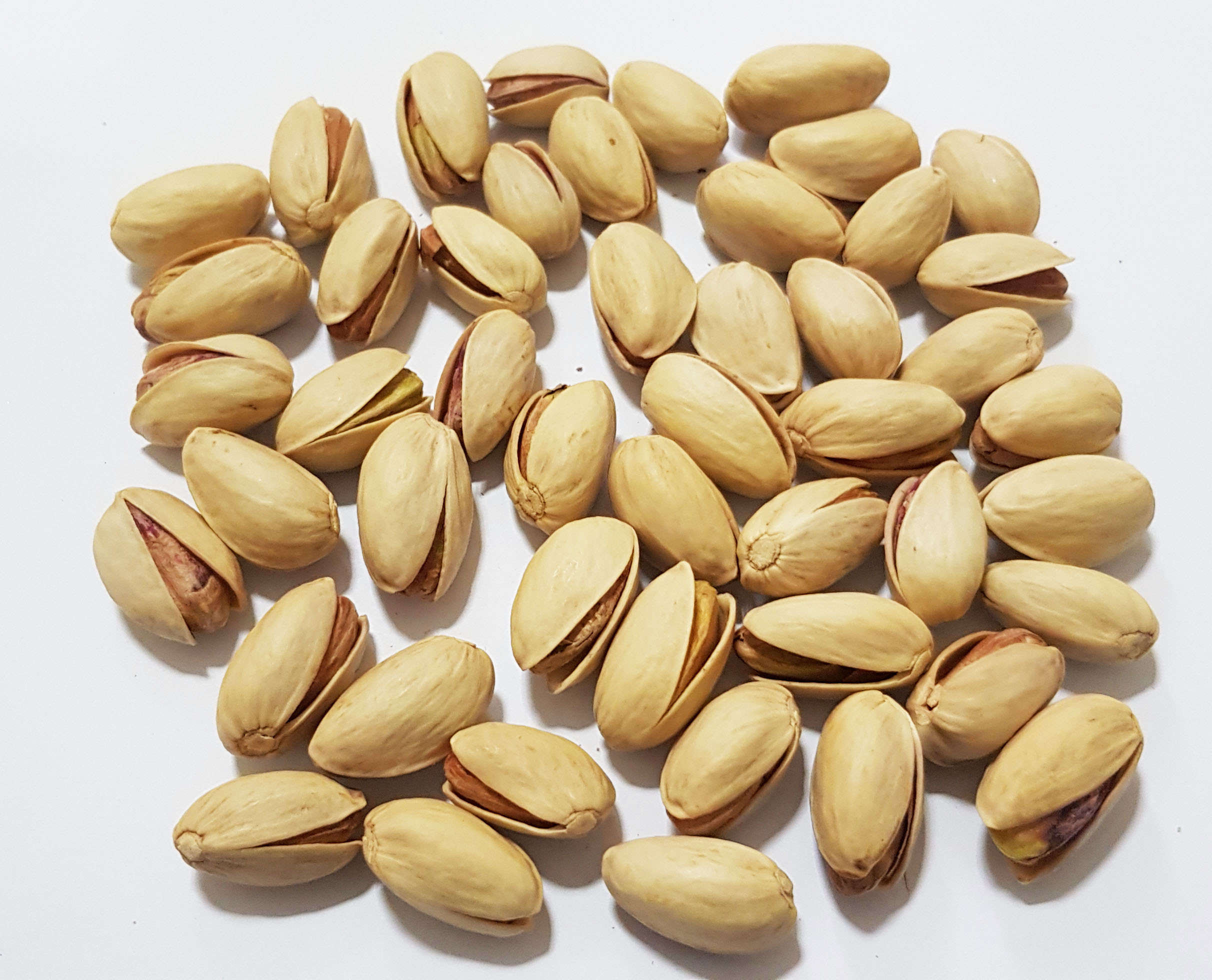 تصویر 3 از خرید پسته احمد آقایی اعلا + بهترین قیمت