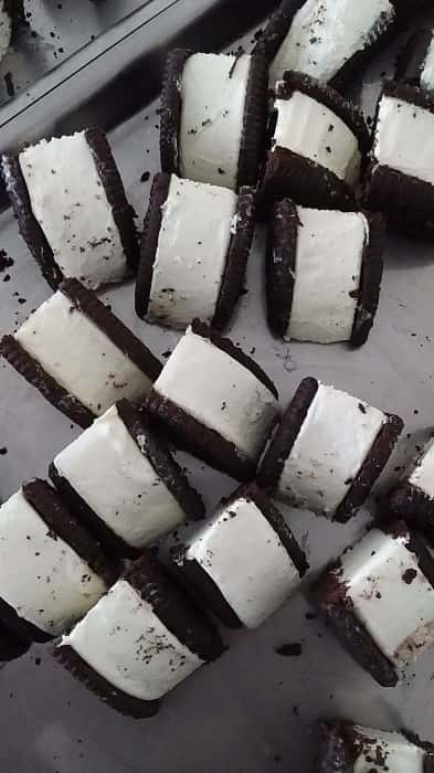 تصویر 4 از بستنی خشک مخلوط فله و ارزان