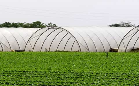 رول پلاستیک گلخانه انتخابی بهینه و اقتصادی