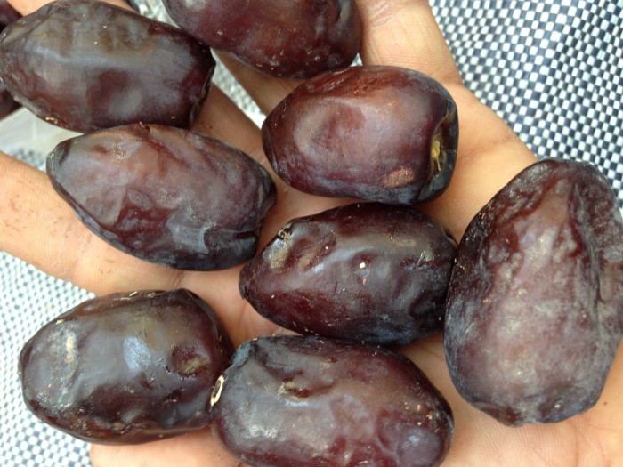 تصویر 4 از قیمت خرما مضافتی جیرفت عبرآباد بهترین کیفیت صادرات به کشور افغانستان و پاکستان