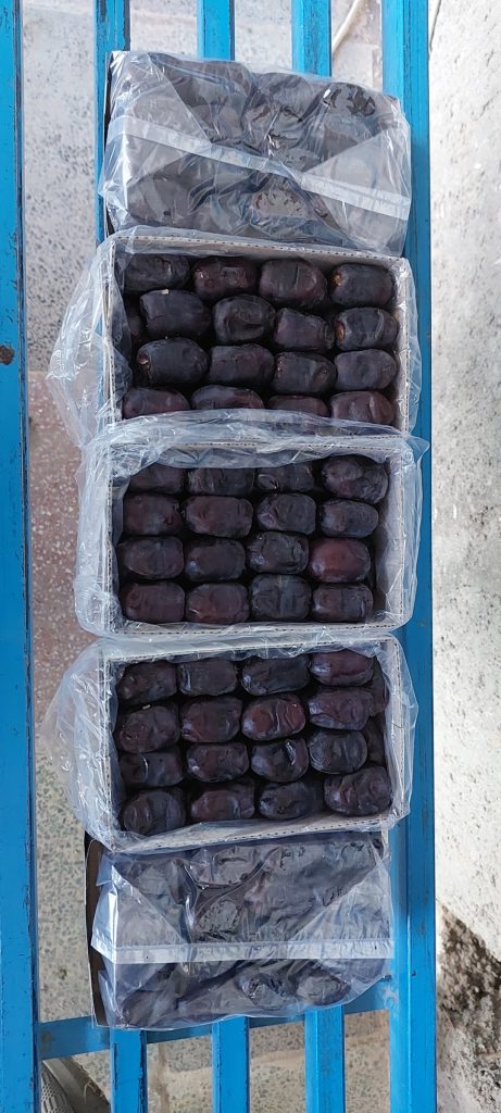 تصویر 2 از قیمت خرما مضافتی جیرفت عبرآباد بهترین کیفیت صادرات به کشور افغانستان و پاکستان