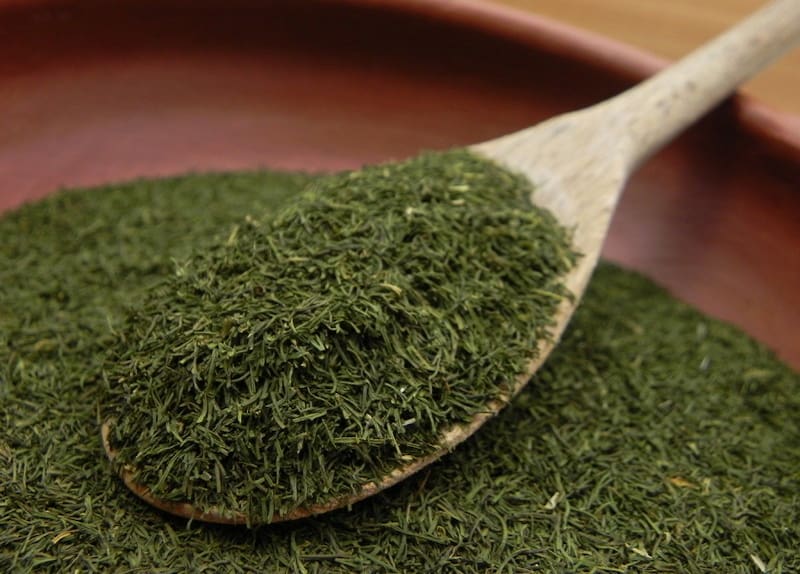 قیمت فروش شوید خشک فله ای بدون واسطه از تولید کننده