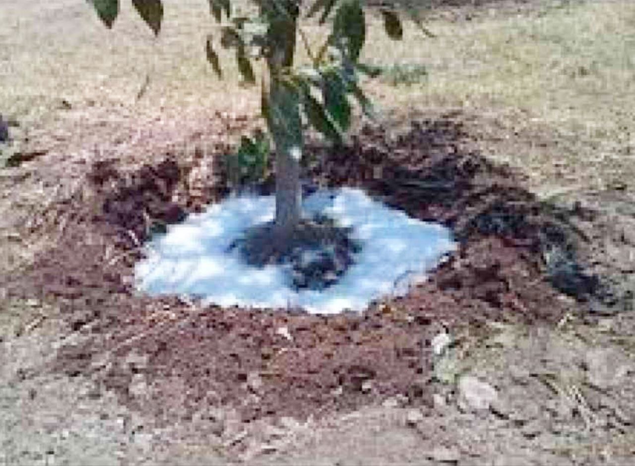 تصویر 2 از فروش تخصصی کود هیدروژل برای کشاورزی هوشمند و پایدار