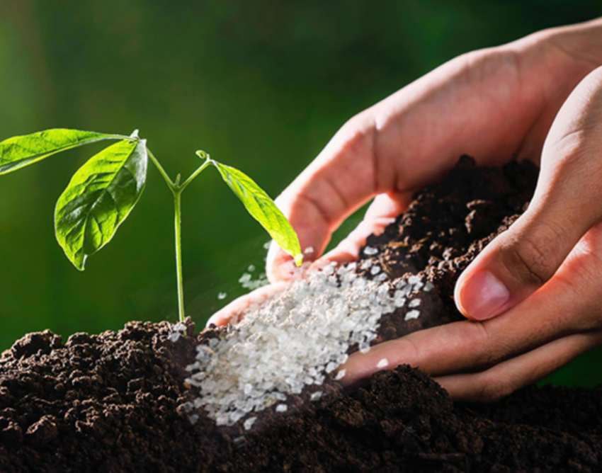 تصویر 2 از فروش خاک ژله ای و هیدروژل + گزینه ای بی نظیر برای مرطوب نگه‌ داشتن خاک