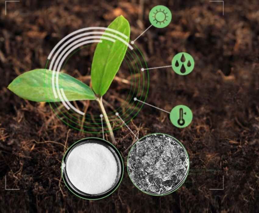 تصویر 3 از قیمت ویژه کود هیدروژل نگهدارنده رطوبت و تغذیه گیاه