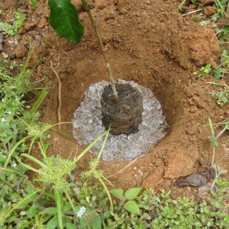 قیمت عمده کود هیدروژل مخصوص باغات و مزارع خشک