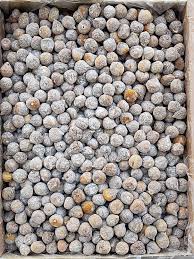 تصویر 4 از انجیر خشک آردی استهبان درشت و شیرین