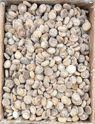 تصویر 2 از انجیر خشک آردی استثنایی و ویژه