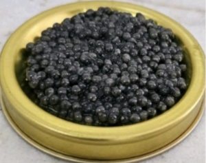 تصویر 2 از خاویار بلوگا چیست؟