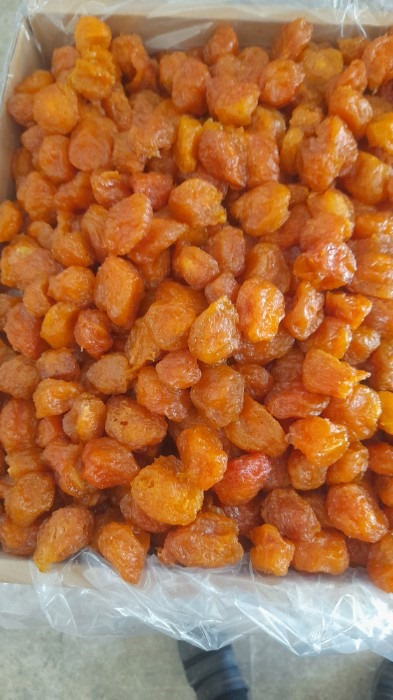 تصویر 1 از آلو رسمی نیشابور