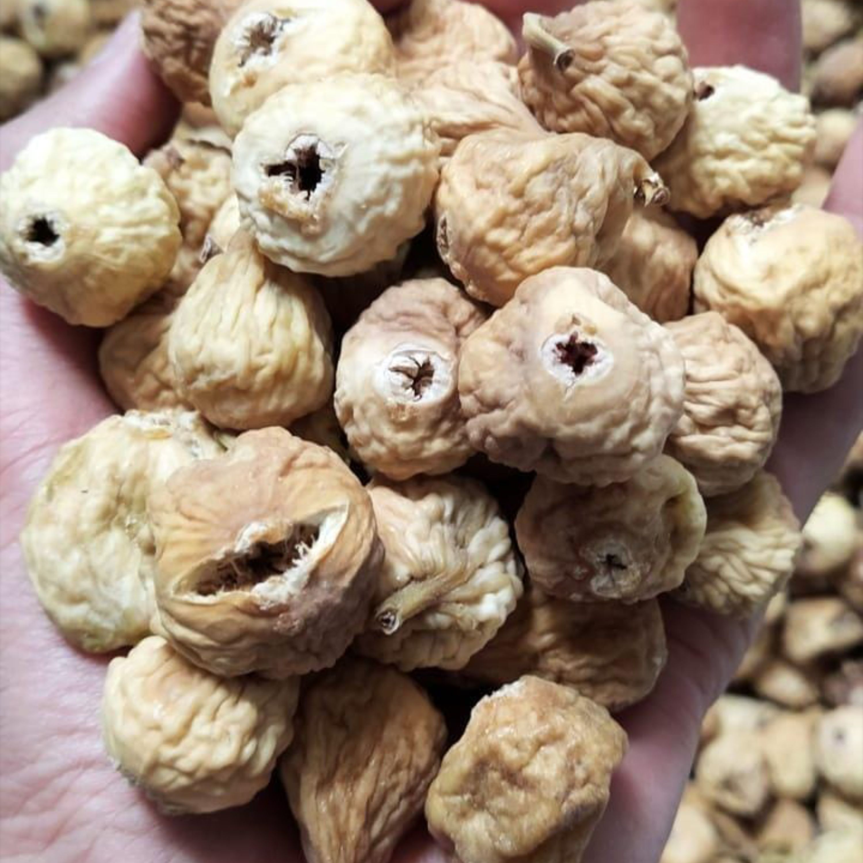 تصویر 2 از راهنمای خرید انجیر خشک صادراتی استهبان + قیمت عالی