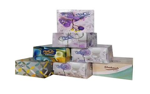 تصویر 3 از دستمال کاغذی شکوه لطافت بی‌ نظیر