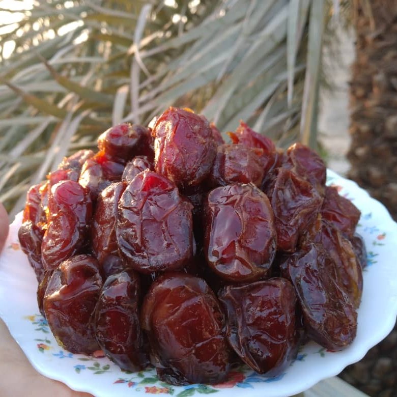 تصویر 3 از خرما کبکاب سطلی با ماندگاری طولانی مدت و طبیعی