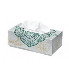 تصویر 4 از دستمال کاغذی غول پیکر راحتی کاربردی