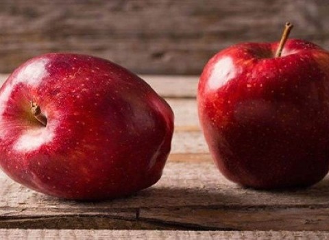 تصویر 2 از سیب قرمز درجه یک + فروش عمده