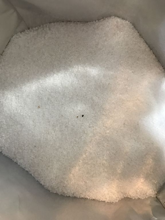 تصویر 2 از نمک دریایی ید دار دلفین 2500 گرم