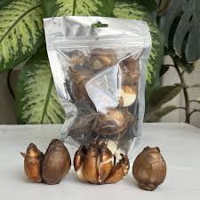 تصویر 2 از پیاز نرگس مناسب آماده‌ سازی سریع انواع غذاهای روزمره خانگی