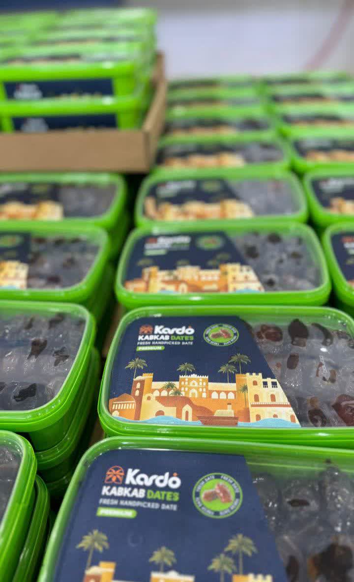 تصویر 3 از خرما کبکاب تازه برداشت‌ شده از نخلستان ها